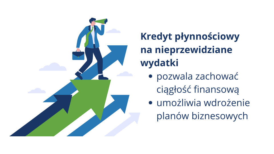 kredyt płynnościowy 